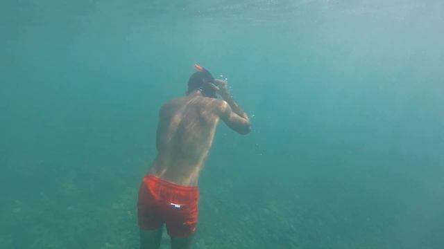 пляж крылья балтики адлер под водой !