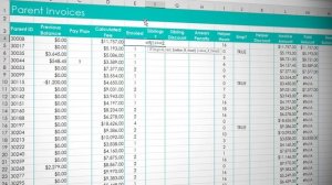 Practice Video: Logical Functions I: IF - Excel Skills for Business: Intermediate II