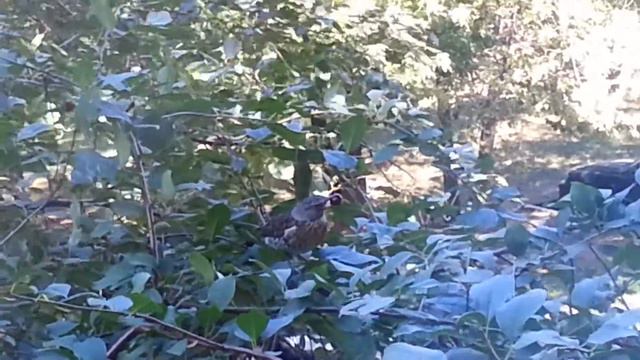 Размер имеет значение смотреть онлайн