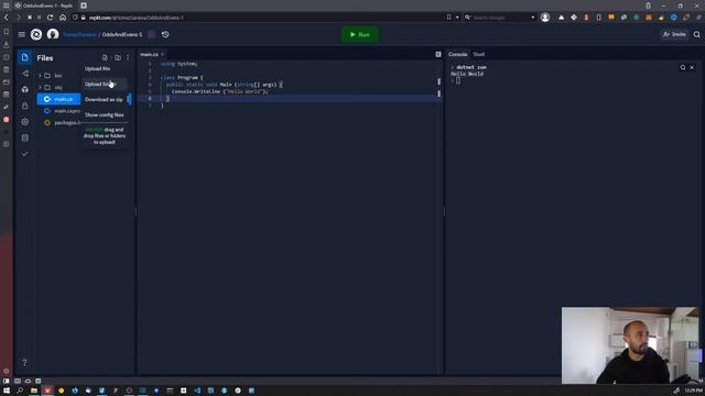 Setting up a new C# (c sharp) project in repl.it