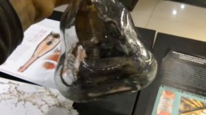 кобра и скорпион в бутылке