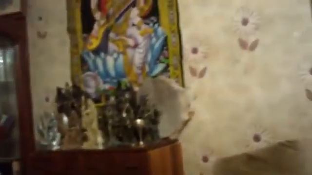 ЧИСТКА ДОМА. ДЛЯ ВСЕХ, ВЕДЬМИНА ИЗБА смотреть онлайн