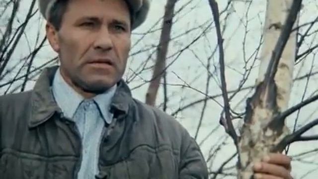 Калина красная 1973 год #ВасилийШукшин