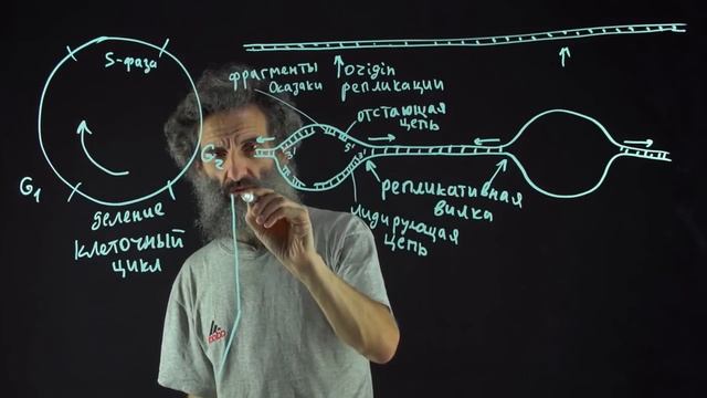 Цитология. Лекция 55. Репликация ДНК смотреть онлайн