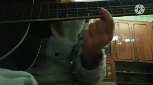 Разбор Гарри Поттера на гитаре (на одной струне)