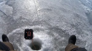 ЗАКРЫТИЕ ЗИМНЕГО СЕЗОНА РЫБАЛКИ НА ОБСКОМ ВОДОХРАНИЛИЩЕ. РЫБАЛКА НА СУДАКА