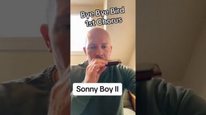 Bye Bye Bird, Harmonica Tutorial session 1,  Sonny Boy Williamson II