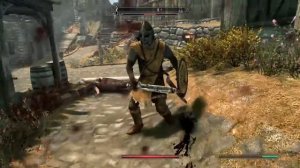 Accidental Fatality - Skyrim