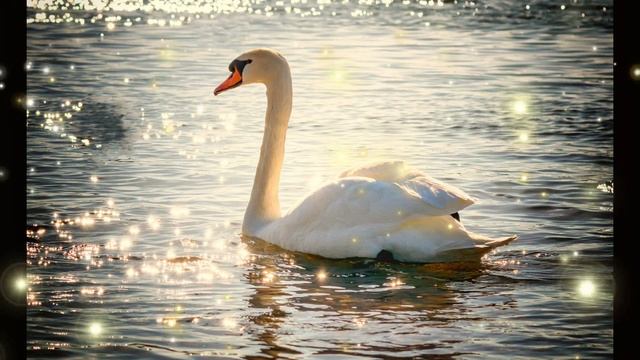 Практика подведения итогов в последний день лунного месяца. смотреть онлайн