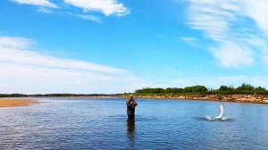 Кто-то мечтает о такой рыбалке. Рыбалка летом ЩУКА СОМ и