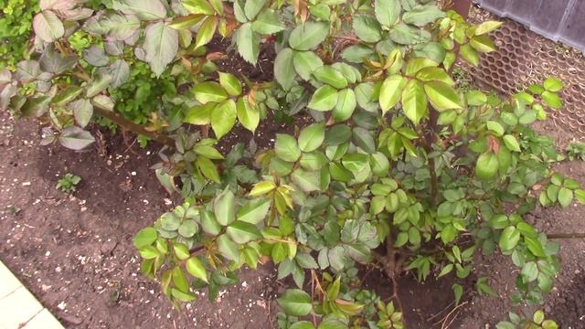 Апрельский обзор. смотреть онлайн