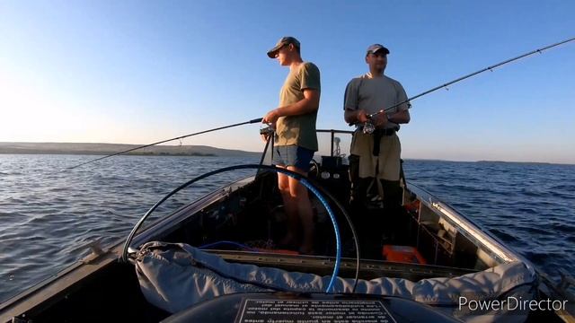 Поймали огромного Судака! Судак на 7100 смотреть онлайн