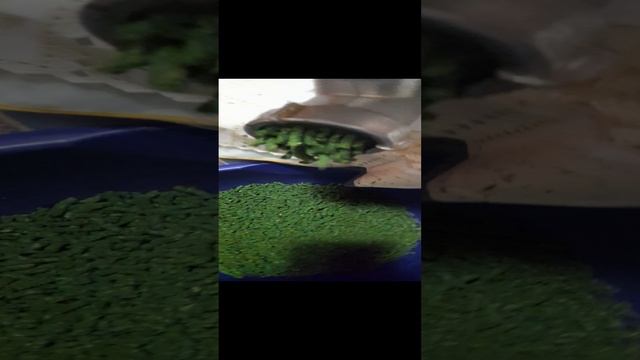 Иван-чай