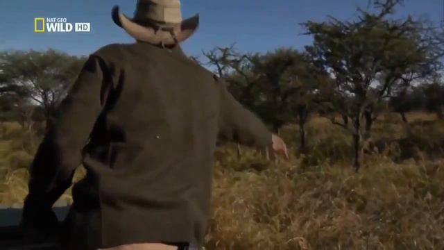 10 САМЫХ РЕДКИХ ЖИВОТНЫХ В МИРЕ