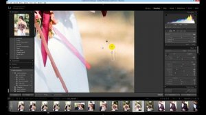 Удаляем ненужные объекты без Фотошопа | Spot Removal tool in Lightroom Adobe