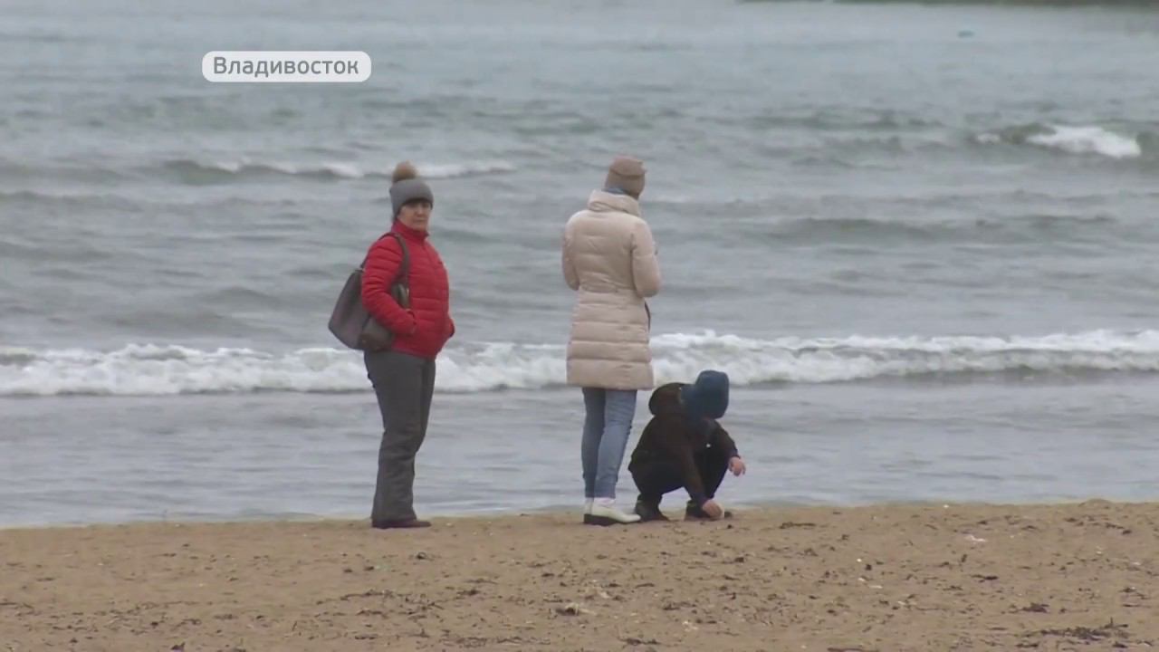 Вопиющую безалаберность продемонстрировали некоторые жители  Приморья