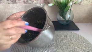 Заморозка мяты на зиму.