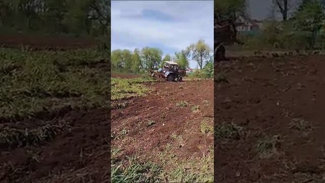 готовим землю на новые сорта) смотреть онлайн