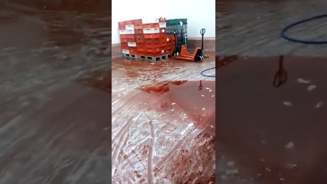 Завод Pini Polonia (на подробах) смотреть онлайн