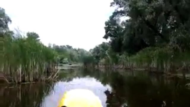 в плавнях внутри Хортицы (часть 2) смотреть онлайн