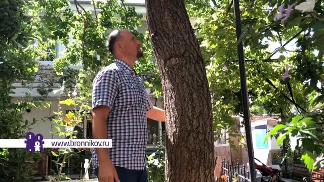 Как сделать, чтобы в огороде все росло? Прокачка растений с Владимиром Бронниковым смотреть онлайн