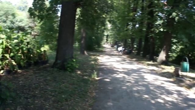 ДОЛБОТ: Экскурсия по Ботаническому саду. Часть 1. FULL HD смотреть онлайн