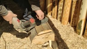 Точу, как умею. Ива.