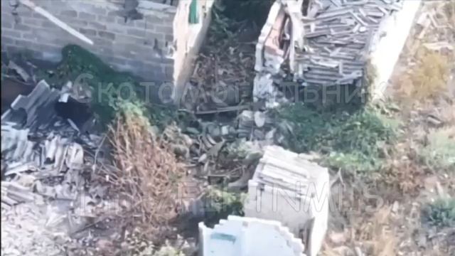 Украинский военный в момент сдачи в плен решает выхватить оружие у Российского штурмовика