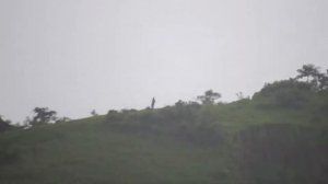 My Nikon P600 Zoom 65x