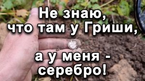 Не знаю, что там у Гриши, а у меня - серебро!