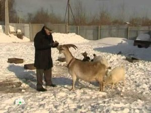 Следствие вели... - "Кровопийца"