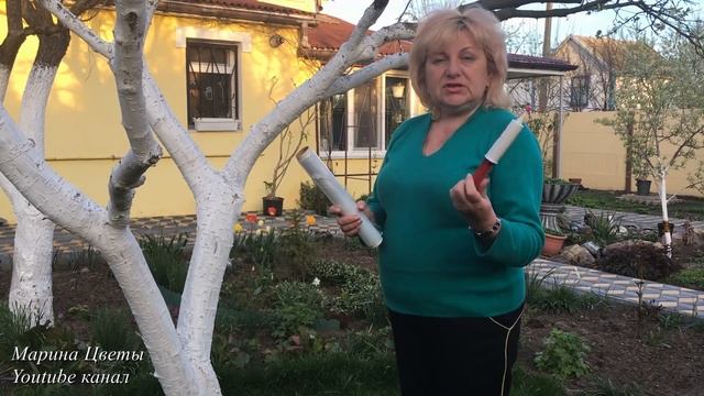 Новый способ защиты от муравьев - ЦЕЛОФАН. смотреть онлайн