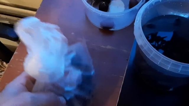 Лотосы из семян. смотреть онлайн