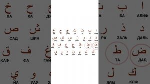 Арабский алфавит #арабскийязык #урок1 #онлайншкола
