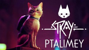 Кто любит кошек, заходи. Прохождение #1 🐈Stray🐱