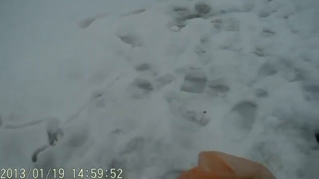 Поездка на рыбалку смотреть онлайн