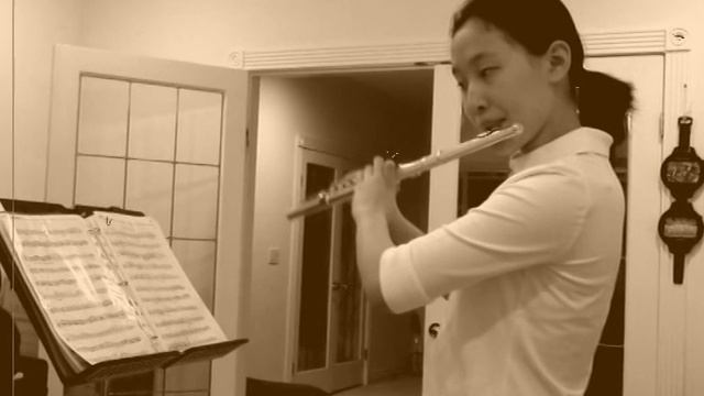 Concerto in G Majer, Op 29, Mvmt 1, 2, C. Stamitz 슈타미츠(シュターミッツ) смотреть онлайн