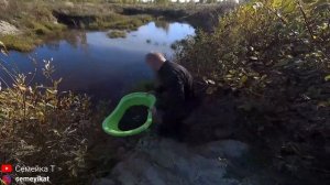 Разведение раков в пруду на даче: Выпускаем речных раков в ПОЧИЩЕННЫЙ пруд на даче.