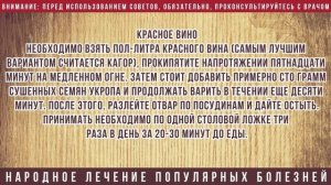 Лечение брадикардии в домашних условиях народными средствами