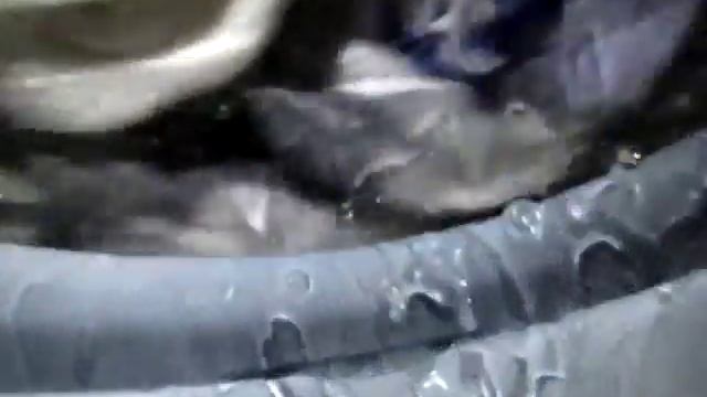 Kapsułki Persil Power-Mix Caps смотреть онлайн