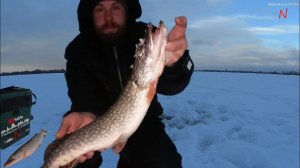 Поменял место начала клевать щука. Рыбалка на жерлицы.