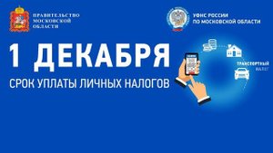 1 декабря – срок уплаты имущественных налогов (налог на имущество, транспортный и земельный налоги)