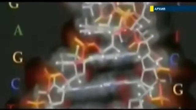 Доказательство существования Творца.