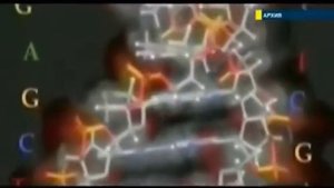 Доказательство существования Творца.