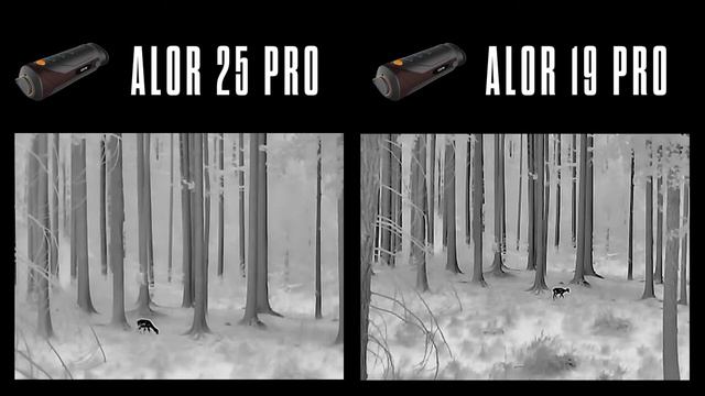 Night Pearl compared ALOR 25 PRO vs ALOR 19 PRO смотреть онлайн