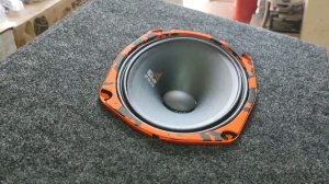 эстрадные среднечастотники dl audio Gryphon Pro 69 обзор - включение