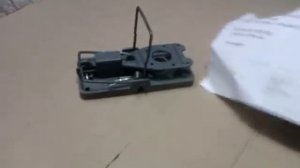 Самая лучшая мышеловка по чувствительности