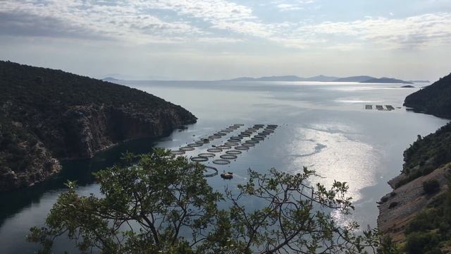 Пелопоннес. Ферма Дорадо смотреть онлайн