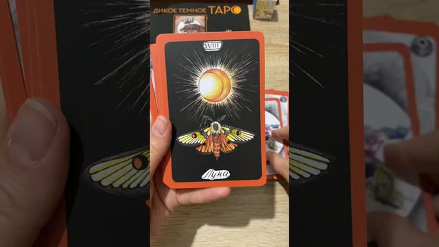 Дикое Тёмное Таро #обзортаро #таро #tarot #кэттифлер