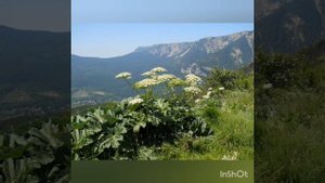 Интересные факты о Камчатке